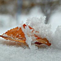 Тихо падал белый снег... :: ЛЮБОВЬ ВИТТ 