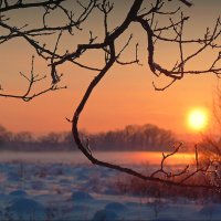 Солнце на закате! :: Владимир Шошин
