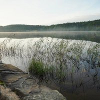 Утро на Ладожском озере :: Сергей Курников