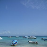 Остров Саона, Карибы :: Дмитрий Логвинов