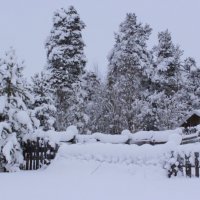 Снегом занесло. :: Галина Полина