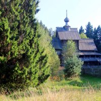церковь в лесной глуши :: Дмитрий Солоненко