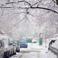 Краса - зима в городе :: Ольга (crim41evp)
