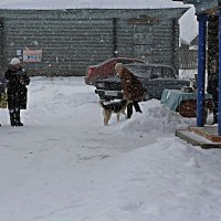 Снегопад праздник не испортит. :: Николай Масляев