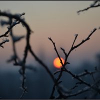 Зимний закат. :: Ольга Кирсанова