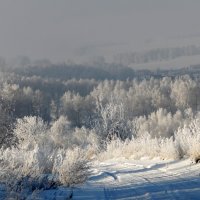 Дорога в замороженный лес. :: nadyasilyuk Вознюк