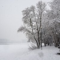 После снегопада :: Владимир Брагилевский