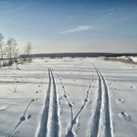 На лыжне февраля.. :: Андрей Заломленков