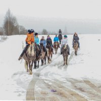 Дорога из зимы в весну :: Александра 