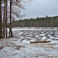 Вот такая зима в этом году :: Лидия (naum.lidiya)