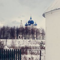 Суздальский кремль :: Валерий Гришин