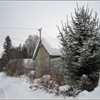 Зима в саду. Ижевск. Игерман. :: muh5257 