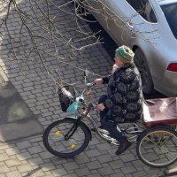 Краснодар. Взрослые велосипеды-трициклы становятся всё более популярными :: Татьяна Смоляниченко