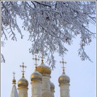 Спасо-Преображенская церковь, г. Рязань. Зима. :: Ольга Кирсанова