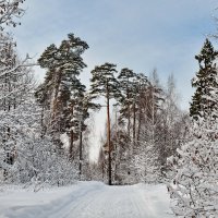 Зима в старом парке :: Леонид Иванчук