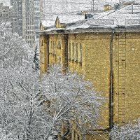 За окном :: Алексей Виноградов