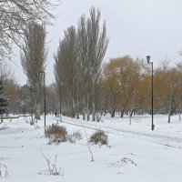 Зимняя унылость парковых аллей :: Юрий Яловенко