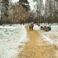 Пргулки в Зимнем Парке :: юрий поляков