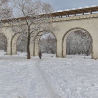 Прогулки в Зимнем Парке :: юрий поляков