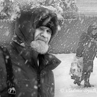 Первый снегопад :: Владимир Дядьков