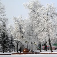 Зимний парк :: Роман Савоцкий