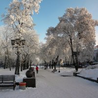 Зимний парк :: Роман Савоцкий