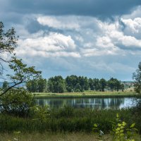 Перед дождем... :: Владимир Безбородов