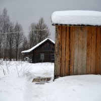 Зима, что делать мне в деревне? :: mihail 