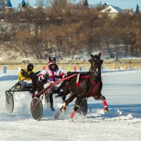 Конные Бега "Ледяной Кубок Чувашии" :: Вячеслав Порфирьев