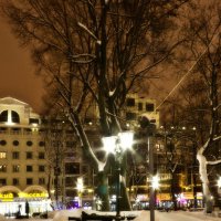 Петровский сквер ночью :: Валерьян 
