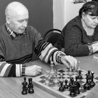 Шахматы всем возрастам покорны. :: Анатолий Сидоренков