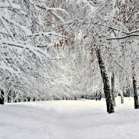 Месяц снегопада был прекрасным. :: Татьяна Помогалова