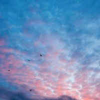 Осеннее небо :: Руслан Шумилин