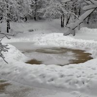 лесное озеро под снегом :: Валентина. .