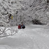 в снежном лесу :: Валентина. .