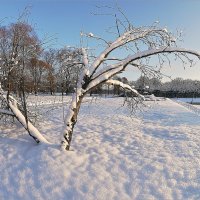 Покровы снежные хранят покой... :: Юрий Велицкий