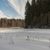 ** :: Владимир Брагилевский