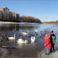 *** :: Роланд Дубровский