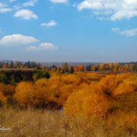 Осень в русле сибирской реки :: Сергей Шаврин