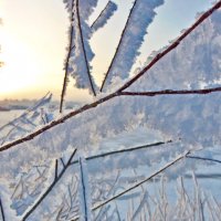 Зимняя рыбалка :: Наталья Ильина