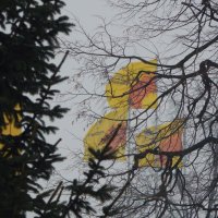 жёлтые флаги :: Alisa Koteva 