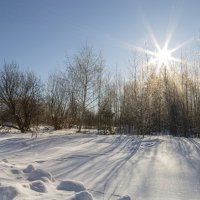 Весеннее солнце на морозном снегу. :: Анатолий Грачев