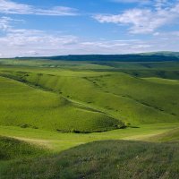 *** :: Леонид Сергиенко