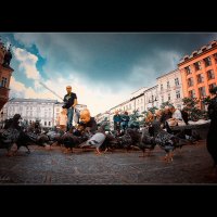 кормление голубей в кракове на площади :: Jiří Valiska