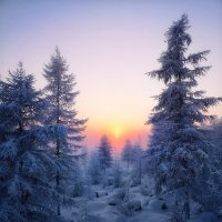 Холодное солнце Якутии. :: Саперов Денис 