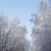 Зима :: Мария Ларионова