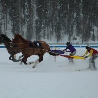 Скачки на льду White Turf Санкт-Мориц :: Andrey Vaganov