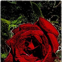 Снова о розах... :: Нина Корешкова