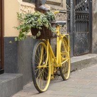 Жёлтый велосипед ...) :: Светлана Мельник