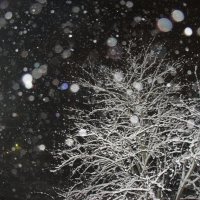 Ночной снегопад :: Наталья Герасимова